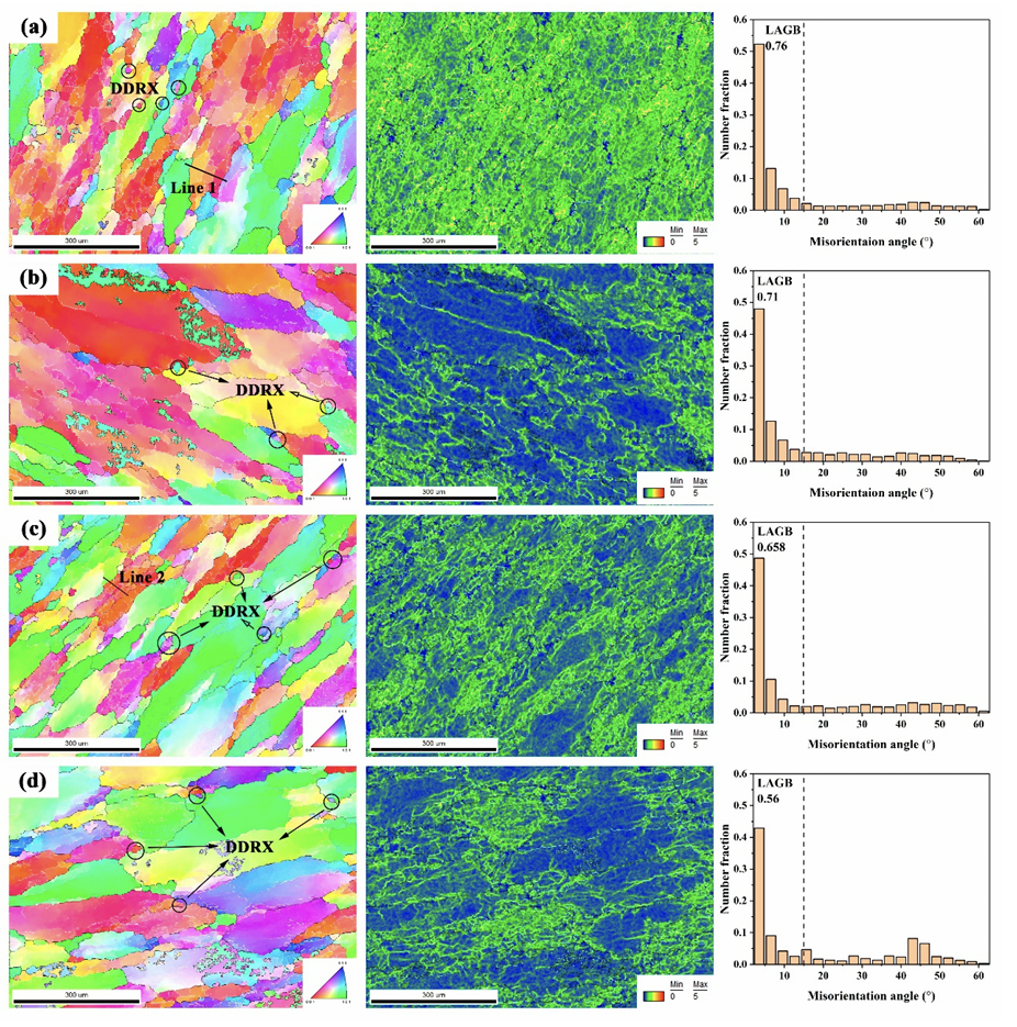 图3 不同温度下EBSD + KAM 图