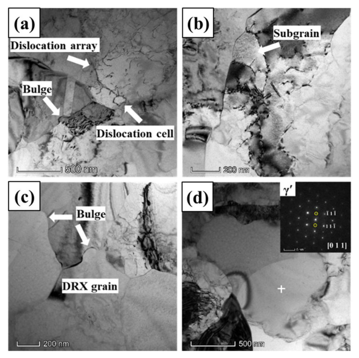 晶界鼓出、DDRX / CDRX