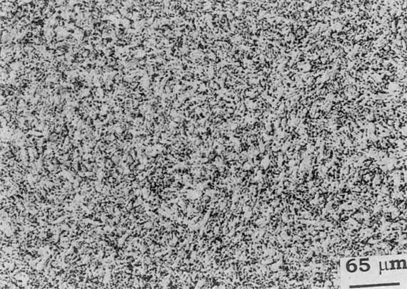 图1 Ti-6Al-4V 初始组织金相